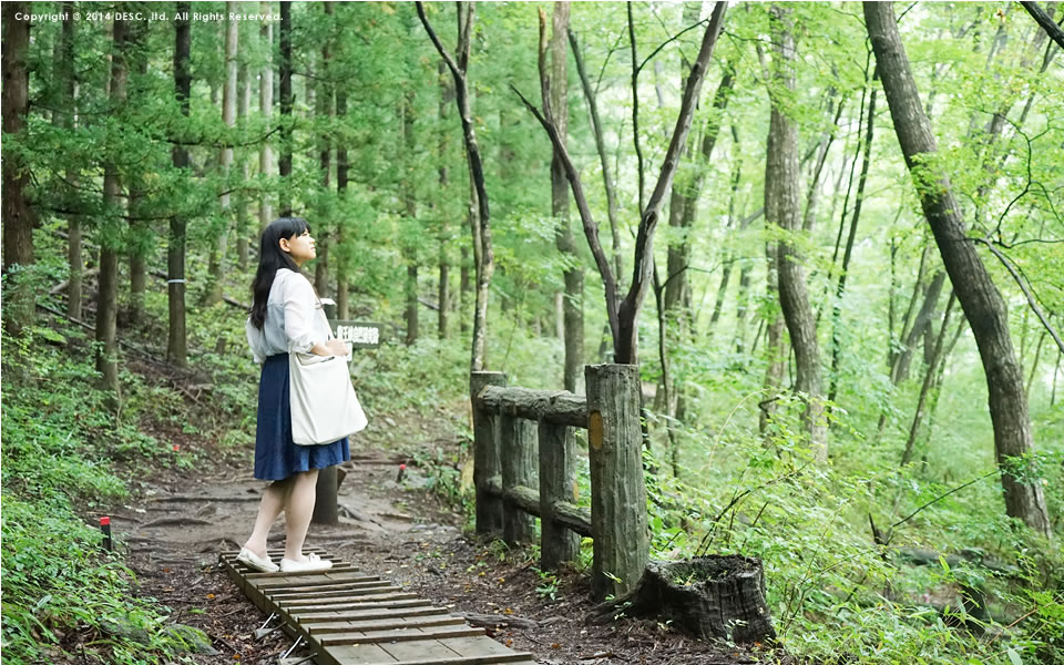 龍王峡ハイキング